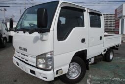 ISUZU ELF TRUCK 2010 full