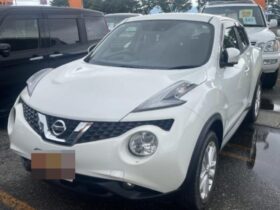 NISSAN JUKE 2015