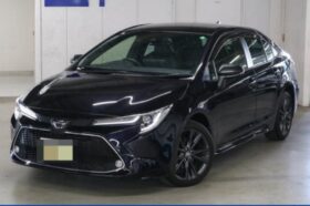 TOYOTA COROLLA WxB 2019
