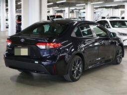TOYOTA COROLLA WxB 2019 full