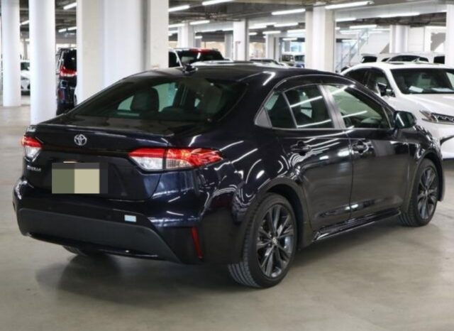 TOYOTA COROLLA WxB 2019 full