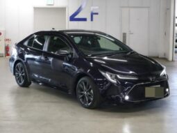 TOYOTA COROLLA WxB 2019 full
