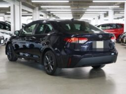 TOYOTA COROLLA WxB 2019 full