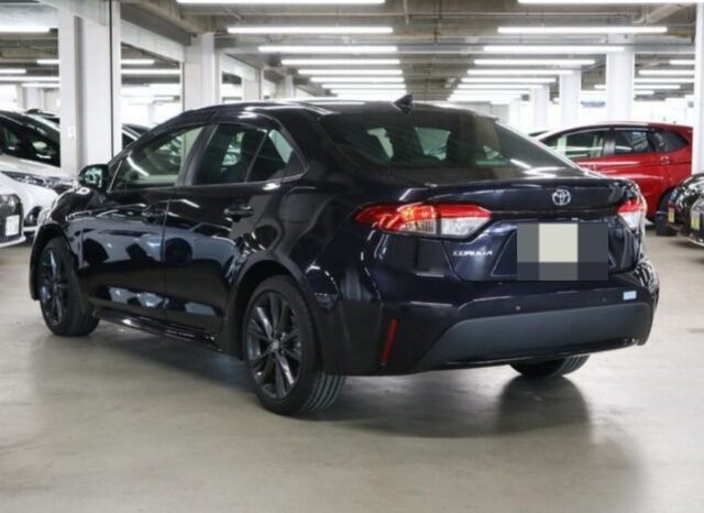 TOYOTA COROLLA WxB 2019 full