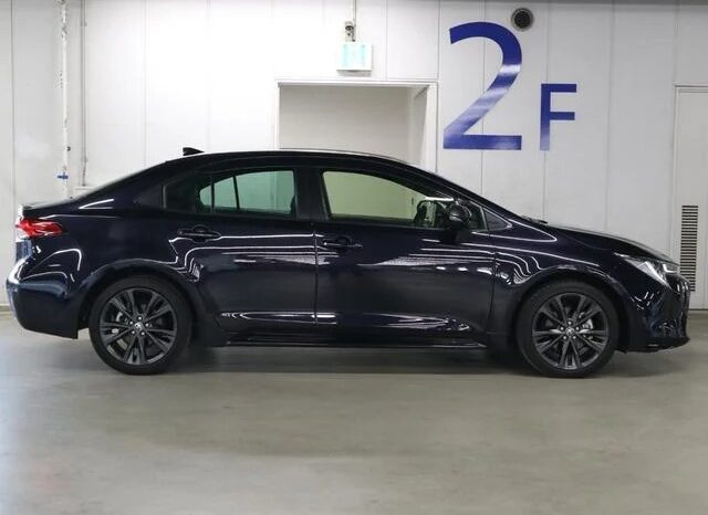 TOYOTA COROLLA WxB 2019 full