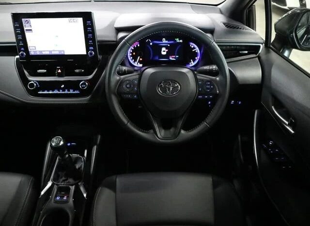 TOYOTA COROLLA WxB 2019 full