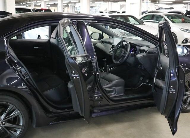 TOYOTA COROLLA WxB 2019 full