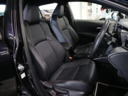 TOYOTA COROLLA WxB 2019 full