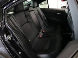 TOYOTA COROLLA WxB 2019 full