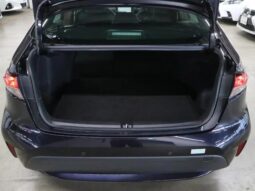 TOYOTA COROLLA WxB 2019 full