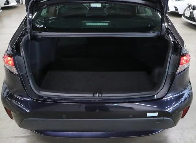 TOYOTA COROLLA WxB 2019 full