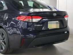 TOYOTA COROLLA WxB 2019 full