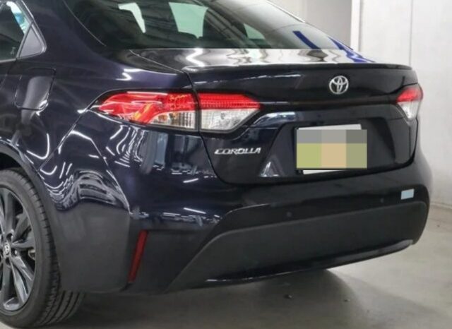 TOYOTA COROLLA WxB 2019 full